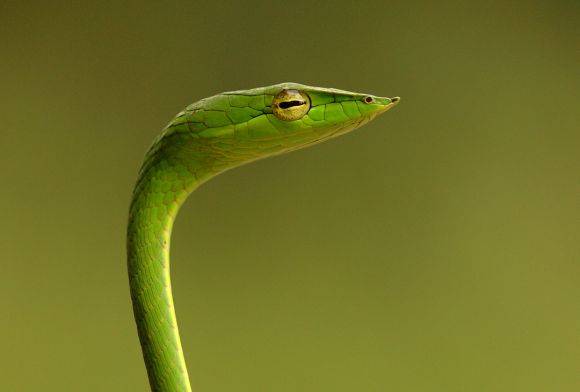 The Eye of the Beholder