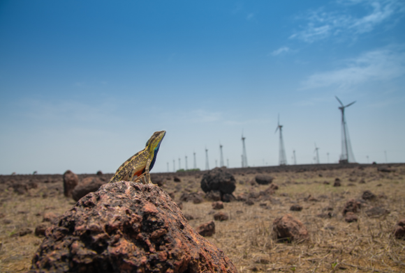The Forest (Conservation) Amendment Act, 2023