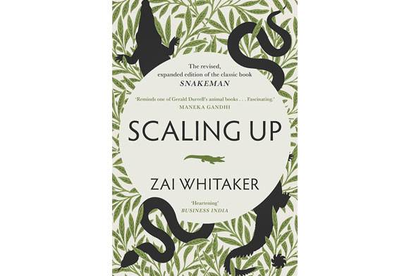 Book Review: Scaling Up