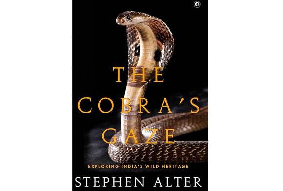 Book Review: The Cobra’s Gaze