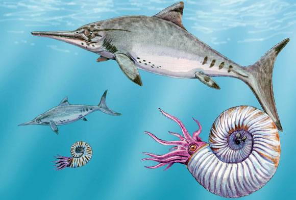 Humanimals - September 2024