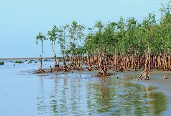 Solitons Beyond Sustainability