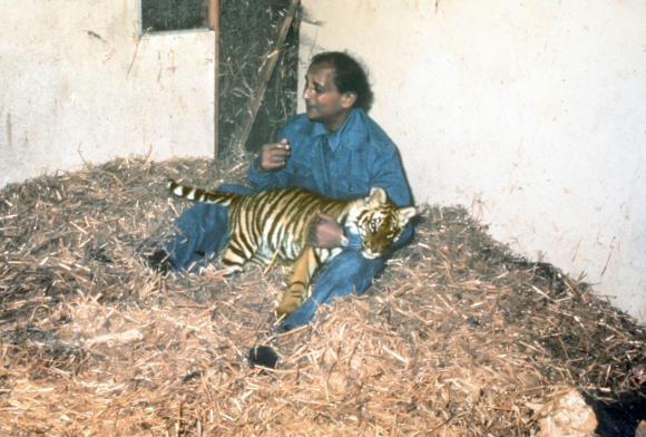 Tara - A Tigress by Billy Arjan Singh