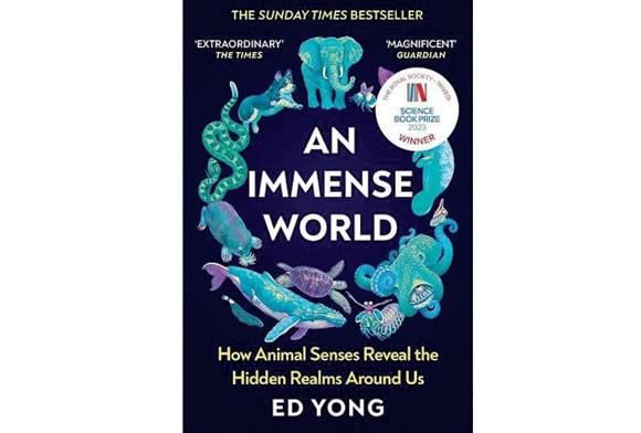 An Immense World