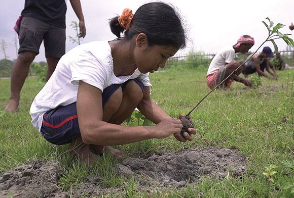 Munmuni Payeng