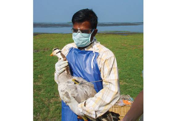 Dr. P. Sathiyaselvam