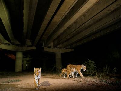 Take Action - May 2026