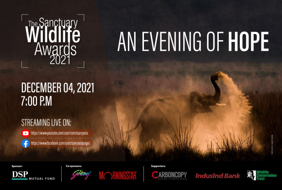 The Sanctuary Wildlife Awards 2021