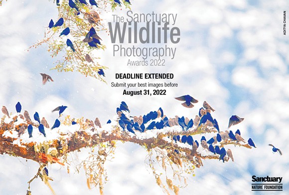 The Sanctuary Wildlife Photography Awards 2022