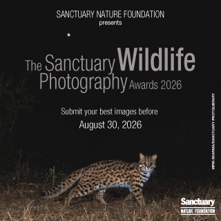 The Sanctuary Wildlife Photography Awards 2026