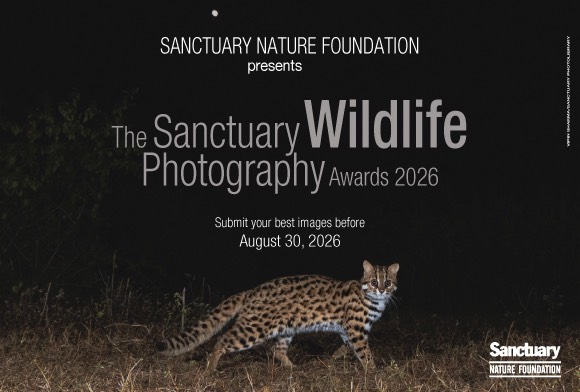 The Sanctuary Wildlife Photography Awards 2026