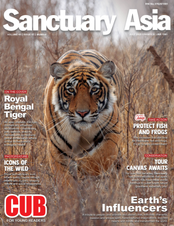 Magazine