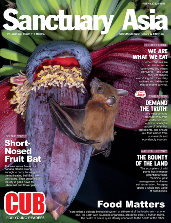 Sanctuary Latest Issue