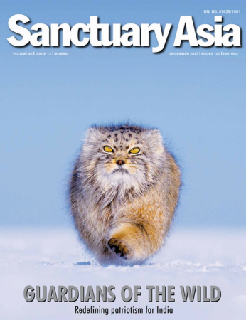 Sanctuary Latest Issue