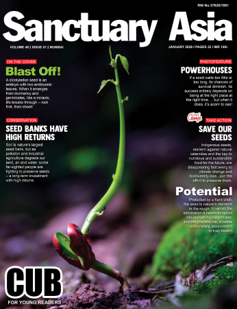 Sanctuary Latest Issue