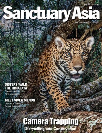Sanctuary Latest Issue