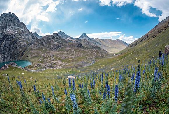 Kashmirs Heterogeneous Mountain