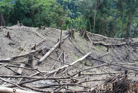 Sustainable Suicide?