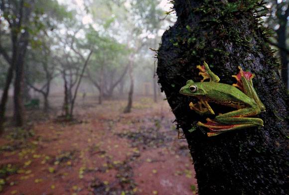 The Magic Of Reality