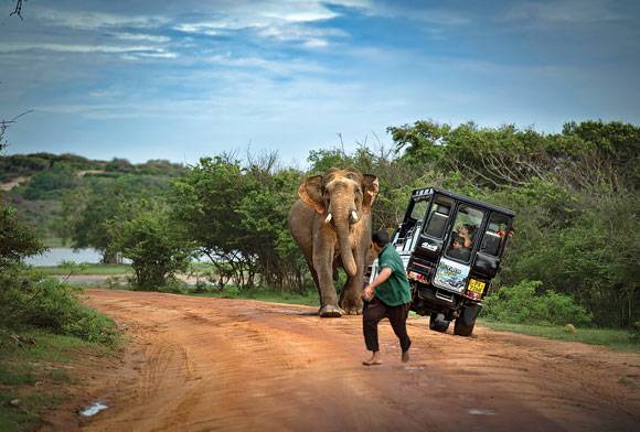 Outrunning a Rampage