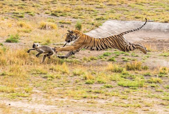 Clear and Present Danger