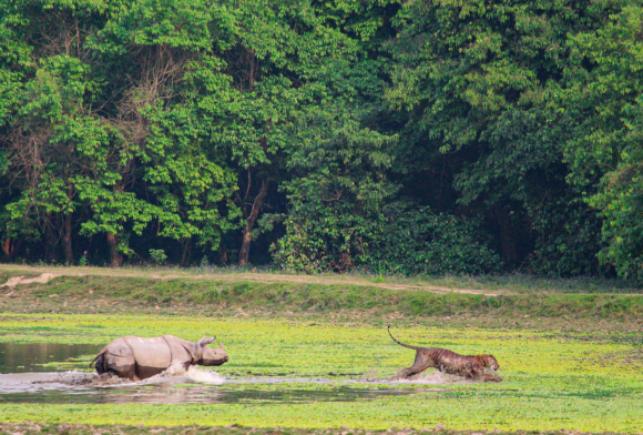 Protect One, Protect Them All