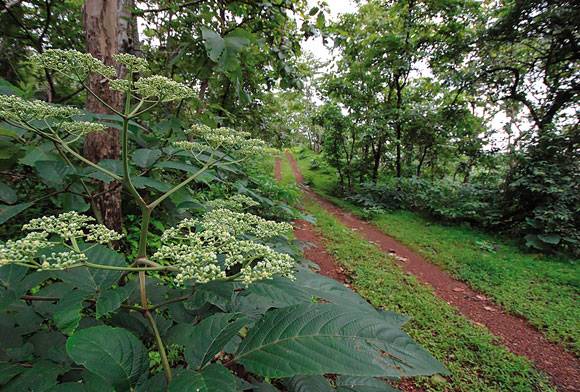 Life goes beyond mere survival it thrives