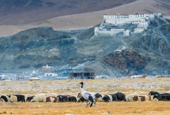 The Black and White of It